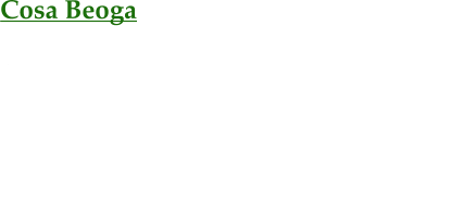 Cosa Beoga  Sean-Nós Tanz bezeichnet man den traditionellen irischen Solotanz im alten Stil. Er ist die ursprüngliche Tanzform des modernen irischen Steptanzes, der durch Shows wie Lord of the Dance allgemein bekannt wurde, und beinhaltet außer dem Tanz noch den Sean-nós-Gesang. Beide Aktivitäten werden heute insbesondere in den Gaeltacht im Westen Irlands gepflegt.